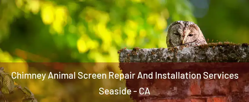  Chimney Animal Screen Repair And Installation Services Seaside - CA