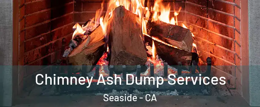  Chimney Ash Dump Services Seaside - CA