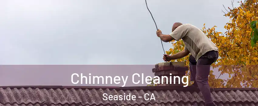  Chimney Cleaning Seaside - CA