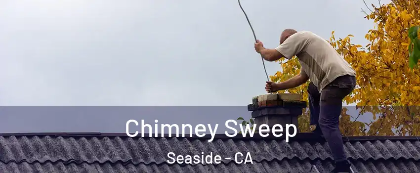  Chimney Sweep Seaside - CA