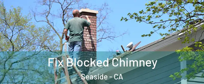  Fix Blocked Chimney Seaside - CA