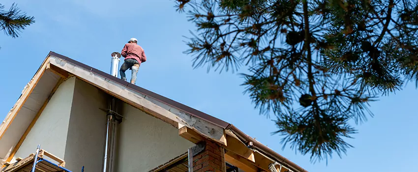 Birds Removal Contractors from Chimney in Seaside, CA