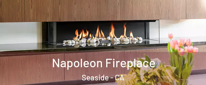 Napoleon Fireplace Seaside - CA